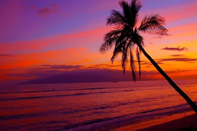 Hawaiian Sunset   (