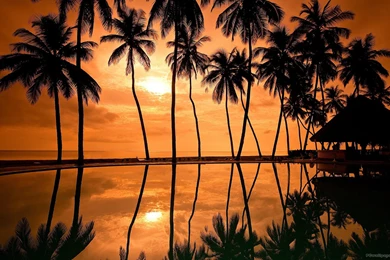 Hawaiian Sunset Wallpapers   975774