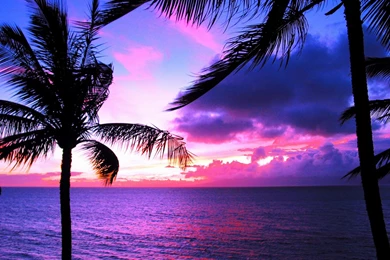 Hawaiian Sunset — Recipes Hubs