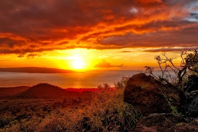 Hawaiian Sunset   (