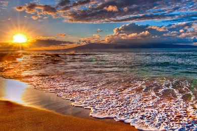 Viernes Hawaii + Pelotas   Taringa!