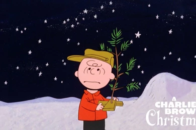 Charlie Brown Christmas Tree Wallpapers   Wallpapers Cave