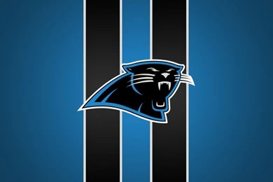 Perfect For Lining The Walls Of The Man Cave  Carolina Panthers ...