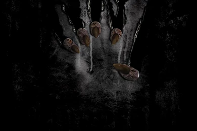 Download The Ripper Wallpapers 1600x1200