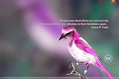 Fact Quotation Wallpapers, Exclusive Full Screen Wallpapers Of ...