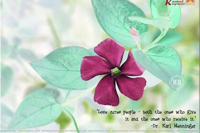 Love Quotation Wallpapers, Quote Computer Wallpapers, Love ...