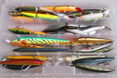 Who Loves Jerkbaits?