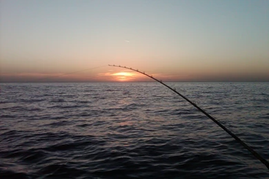 October Full Moon Walleyes