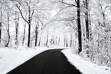 Winter Backgrounds Tumblr 2015