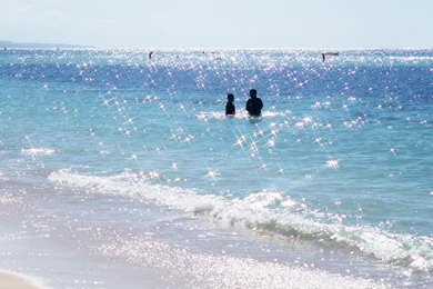 Summer, Swimming, Theme, Desktop, Nature, Wallpapers (