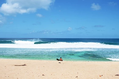 SUMMER EVERYWHERE WALLPAPERS