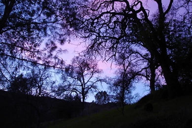 Kawaii Pastel Goth Tumblr Backgrounds Image Gallery   Photonesta