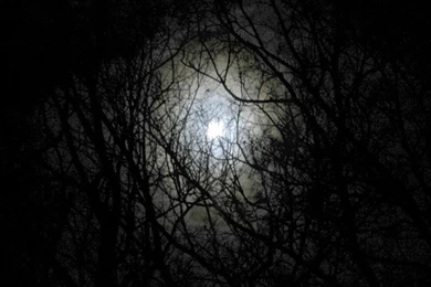 Emo And Goth Backgrounds