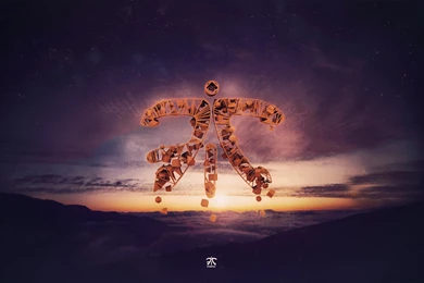 Fnatic Wallpaper, From /r/globaloffensive : Leagueoflegends