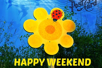 Happy Weekend Card   (