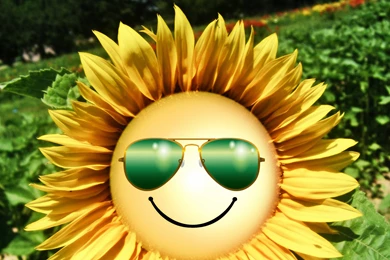 Happy Week End HD Wallpapers For Week End Lovers