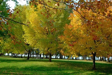 Wallpapers The Weeknd Weekend Free Have A Great 1024x768