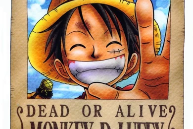 Crunchyroll   Library   One Piece Wanted Posters