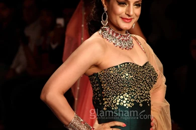 Ameesha Patel Picture   HD Gallery Page