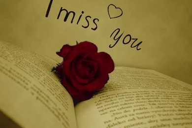 I Miss You HD Images HD Wallpapers Pictures Photos Cover Images ...