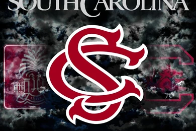 In South Carolina Gamecock Black And White Quotes. QuotesGram