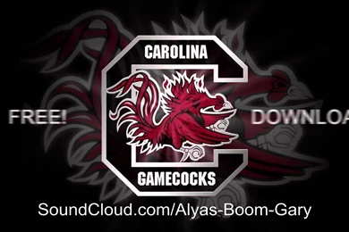 South Carolina GameCock Theme Song *FREE DOWNLOAD*   YouTube