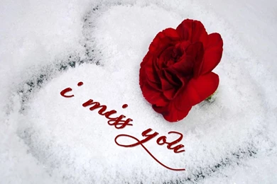 Miss u wallpaper roses