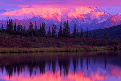 Wonder Lake Alaska   (