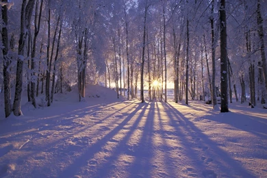 Alaska Map Rivers   Wallpaper.