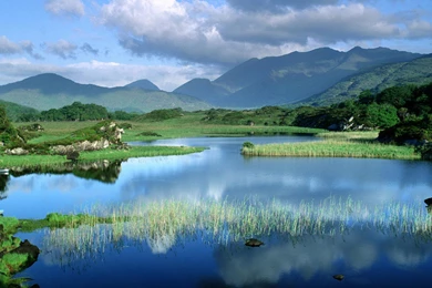 Wallpaper for pc nature