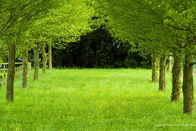 Wonderful HD Wallpapers Free Download Best HD Desktop Wallpapers ...