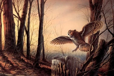 Birds: Terry Redlin Animal Painting Art Nature Bird Aleni ...