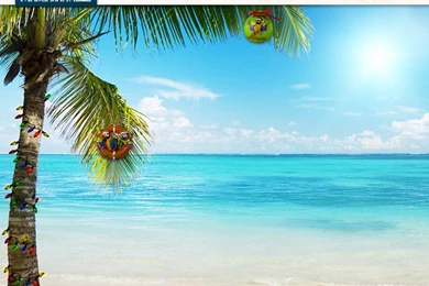 Justpict.com Margaritaville Wallpapers
