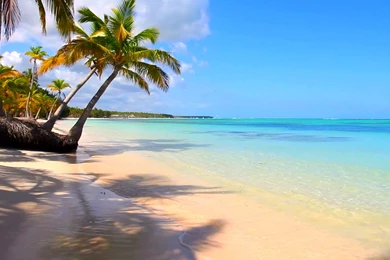 Margaritaville Vacation Club