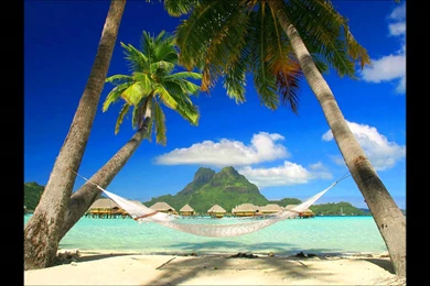 Justpict.com Jimmy Buffett Wallpaper Images