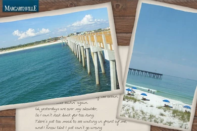 Margaritaville Vacation Club :: Parrotheads