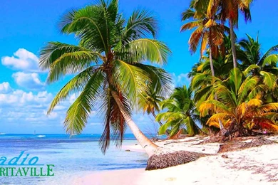 Home   Apps By Gregory TewksburyApps By Gregory Tewksbury