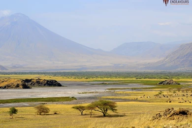 Wallpapers Of Africa