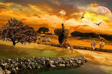 1 Savannah HD Wallpapers