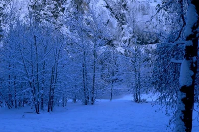 Winter Scene   Christmas Wallpapers (2735688)   Fanpop