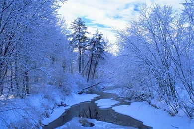 Winter Scene   Christmas Wallpapers (2735689)   Fanpop