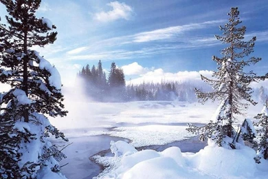 Christmas Winter Scenes Wallpapers 2015   Grasscloth Wallpapers