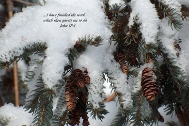 Christmas Winter Scenes Wallpapers   Wallpapers Cave