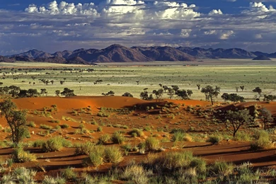 High Quality Savannah Wallpapers