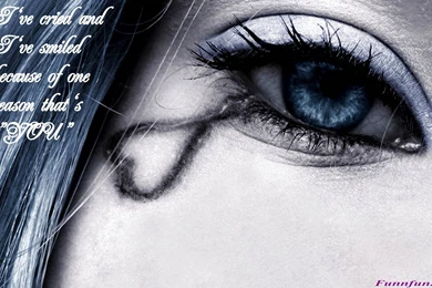 Amazing Love Quotes Best HD Wallpapers Free Download