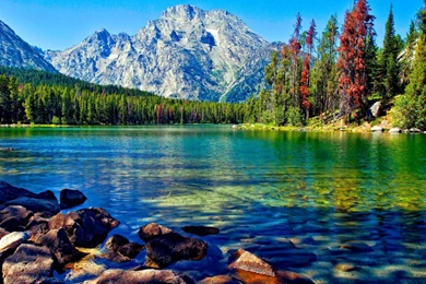 Best Free Hd Wallpapers Sites   DOTA 2 HEROES