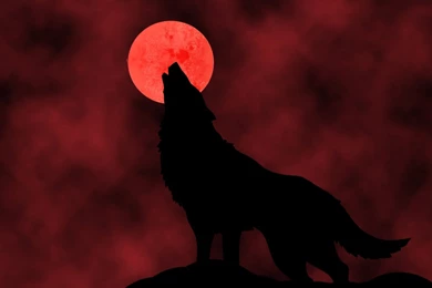 Blood Moon High Quality Wallpapers