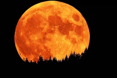 Blood Moon 2015 Photos