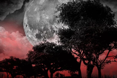 Blood Moon Landscape By Drace Sylvanian On DeviantArt