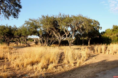 High Quality Savannah Wallpapers